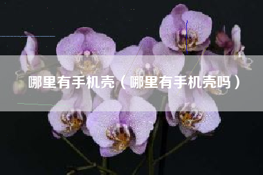 哪里有手机壳（哪里有手机壳吗）