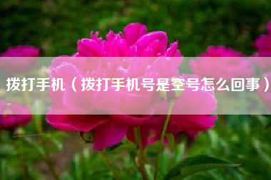 拨打手机（拨打手机号是空号怎么回事）