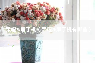 荣耀2k屏手机（荣耀2k屏手机有哪些）
