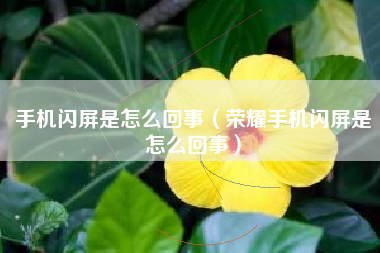 手机闪屏是怎么回事（荣耀手机闪屏是怎么回事）
