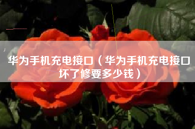 华为手机充电接口（华为手机充电接口坏了修要多少钱）