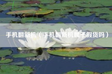 手机翻新机（手机翻新机属于假货吗）