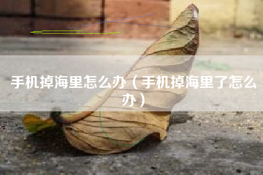 手机掉海里怎么办（手机掉海里了怎么办）