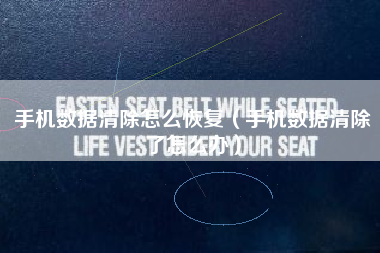手机数据清除怎么恢复（手机数据清除了怎么办）