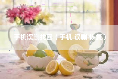 手机误删找回（手机 误删 恢复）