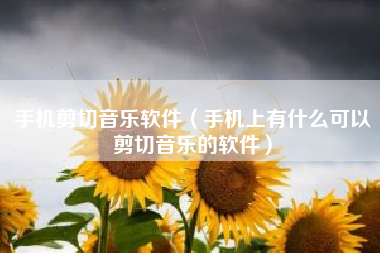 手机剪切音乐软件（手机上有什么可以剪切音乐的软件）