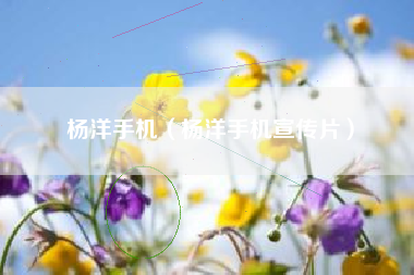 杨洋手机（杨洋手机宣传片）