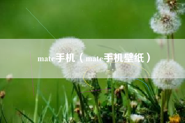 mate手机（mate手机壁纸）