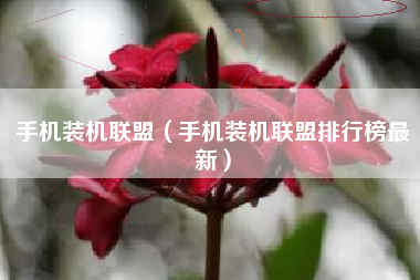手机装机联盟（手机装机联盟排行榜最新）