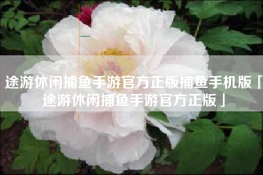 途游休闲捕鱼手游官方正版捕鱼手机版「途游休闲捕鱼手游官方正版」