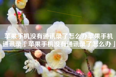 苹果手机没有通讯录了怎么办苹果手机通讯录「苹果手机没有通讯录了怎么办」