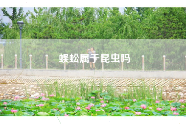 蜈蚣属于昆虫吗