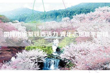 雷锋市集聚铁西活力 青年志愿展奉献精神